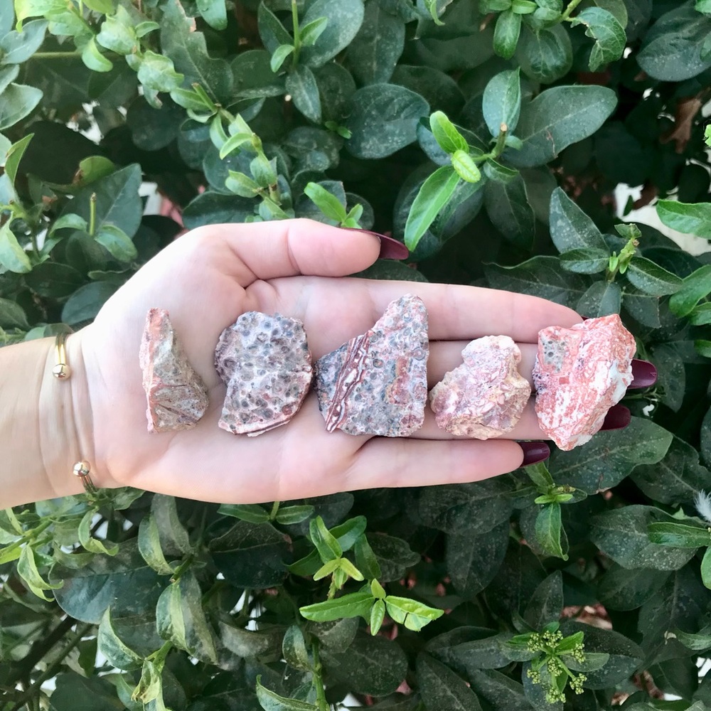 Leopard Skin Jasper 🐆
